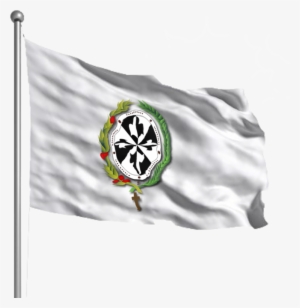 Bandera Del Instituto Nuestra Señora Del Rosario