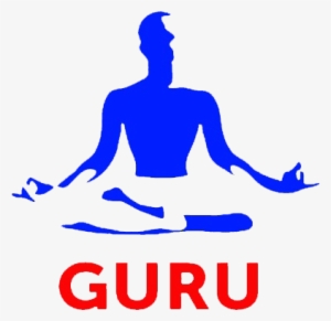 The Next Webguru - Guru