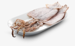 Dried - Squids - Squid As Food