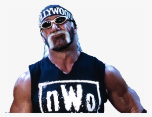Okay, I'll Fax This Over - Wwe Hulk Hogan Nwo