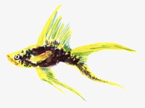 Yellow Fish Watercolor Hand Drawn Transparent - Watercolor Painting