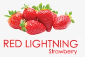 Hydro Herbal Red Lightning Shisha - Strawberries And Bananas Png
