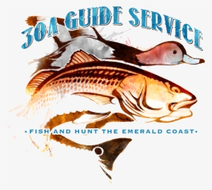 30a Guide Service