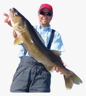 Was Last Modified - Lunge