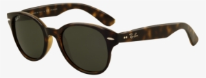 Sunglasses - Ray Ban 4141