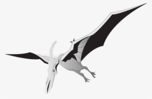 Vector Graphics - Pterodaktyl Png