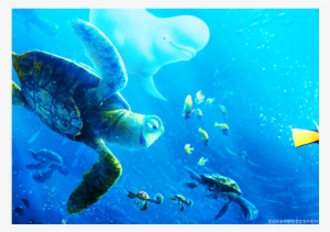 Finding Nemo Png Free Hd Finding Nemo Transparent Image Pngkit