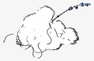 Dove Logo8