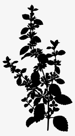 How To Draw Jack Skellington Png Library Library - Lemon Balm Silhouette