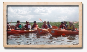 Kayaking Group - Kayak