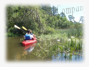 Self-guided Kayak Rentals - Banknote