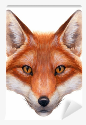 Red Fox Face