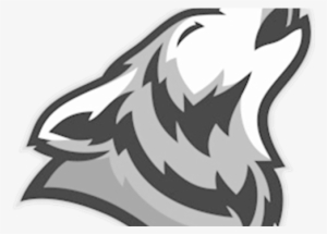 Coyote Cardiff Touch - Carolina Park Elementary School