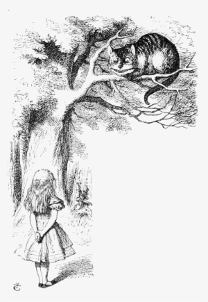 Clip Transparent Stock Off Topic Alicecatsmall - Brief History Of The Smile [book]