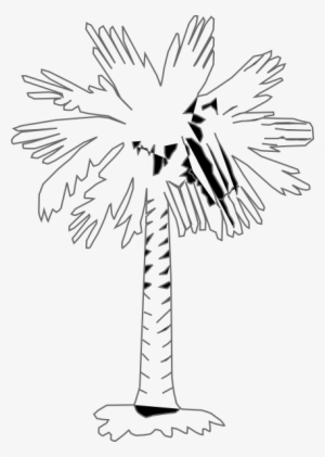 Drawing Palm Tree 34 - South Carolina State Tree Drawing