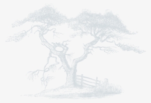 Bair - Sketch