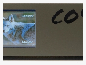 Coyote Q3g Playback Server - Coyote