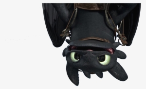 "how To Train Your Dragon" - Toothless Dragon Upside Down