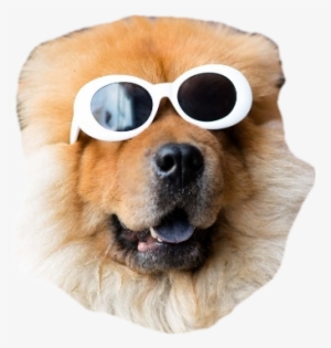 3) Custom Artwork - Dogs Cute