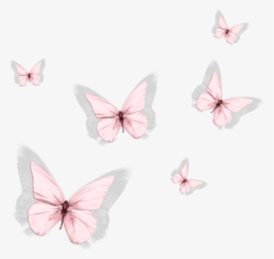 Pink Geranium, Butterfly Party, Butterfly Kisses, Butterflies, - Pieridae