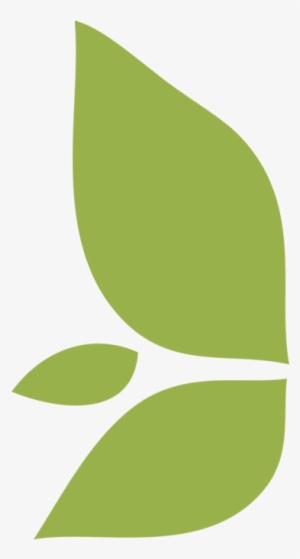 Leaf Icon City Ma - Maid Service