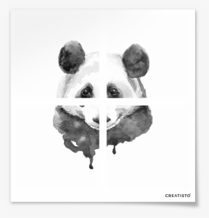 Black And White Pic Of Panda