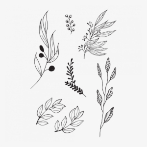 Black Twigs Set - Olive Leaves Tattoo