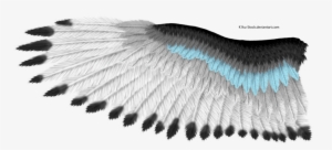 Blue Stripe Eagle Wing By K1ku-stock - Eagle Wing