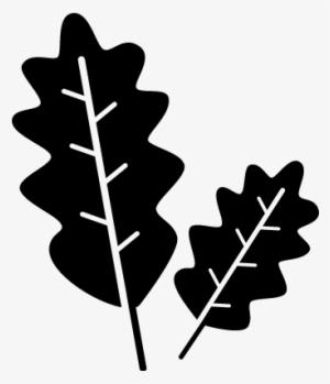 Two Twigs Vector - Icon
