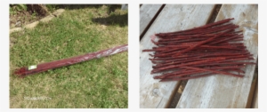 Branch-twigs - Grass