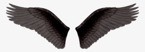 Alas Negras De Angel Png