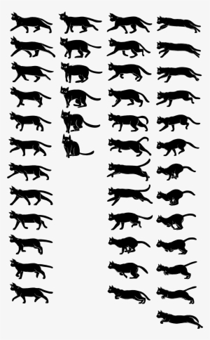 Cat Walking Cycle Frame By Frame