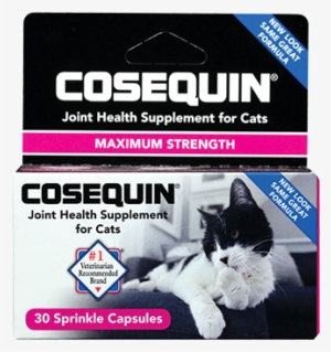 Container Of Cosequin Standard Strength