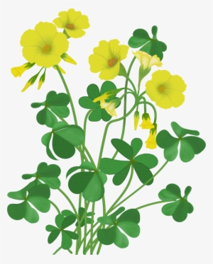 Perfect X Flowers With 34 Beauty Wooden Stick Png - Flower