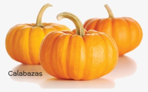 Calabaza - Alimentos Que Contienen Cucurbitacina