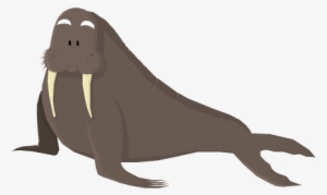 Walrus Png Hd - Walrus