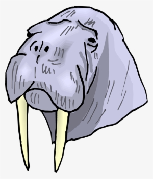 Svg Freeuse Download Free Walrus Clipart - Clip Art