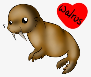 Walrus Vector Chibi - Chibi Walrus