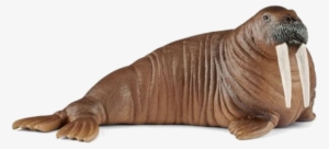 Schleich Walrus
