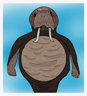 Author Comments - Defrancq