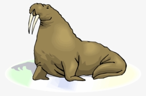 Free Png Walrus Transparent Images Png Png Images Transparent - Walrus With Transparent Background