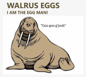 Walrus Eggs - Artist