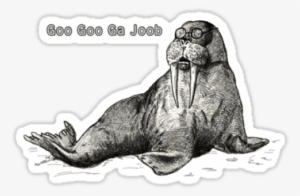 I Am The Walrus - Drawing Of A Walrus