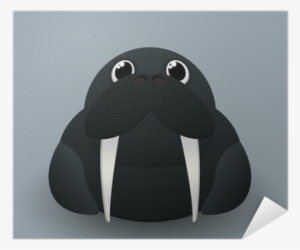 Walrus