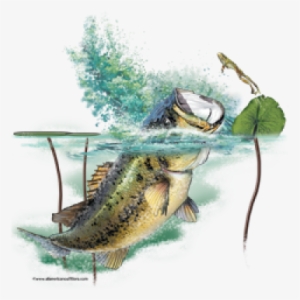 Browse Designs > All American Outfitters > Fish - Sea Bass