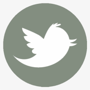 Twitter1 - Iconos De Redes Sociales Twitter