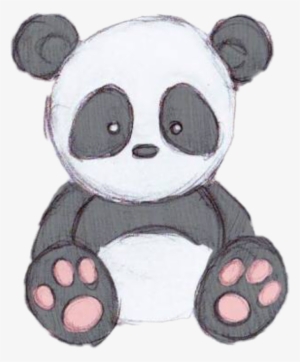 Panda Cute Cutepanda Pandastickerfreetoedit - Drawings Of Cute Cartoons