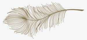 Gold Feathers Png - Illustration
