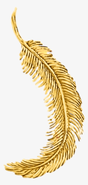 Tiffany Feather Gold Brooch - Illustration
