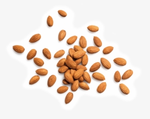 Almond